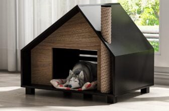 Mid-Century Modern Design Dog House